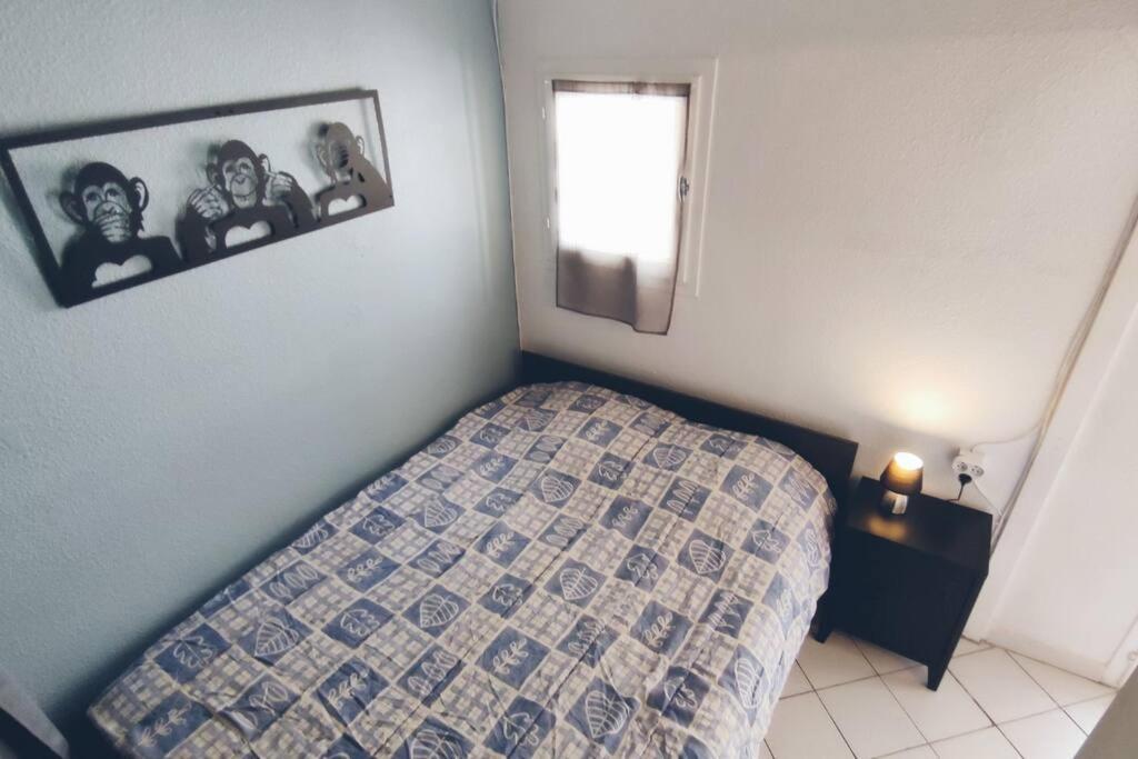 Joli T2 avec clim, 4/6 personnes,500m de la plage. Saint-Cyprien  Extérieur photo